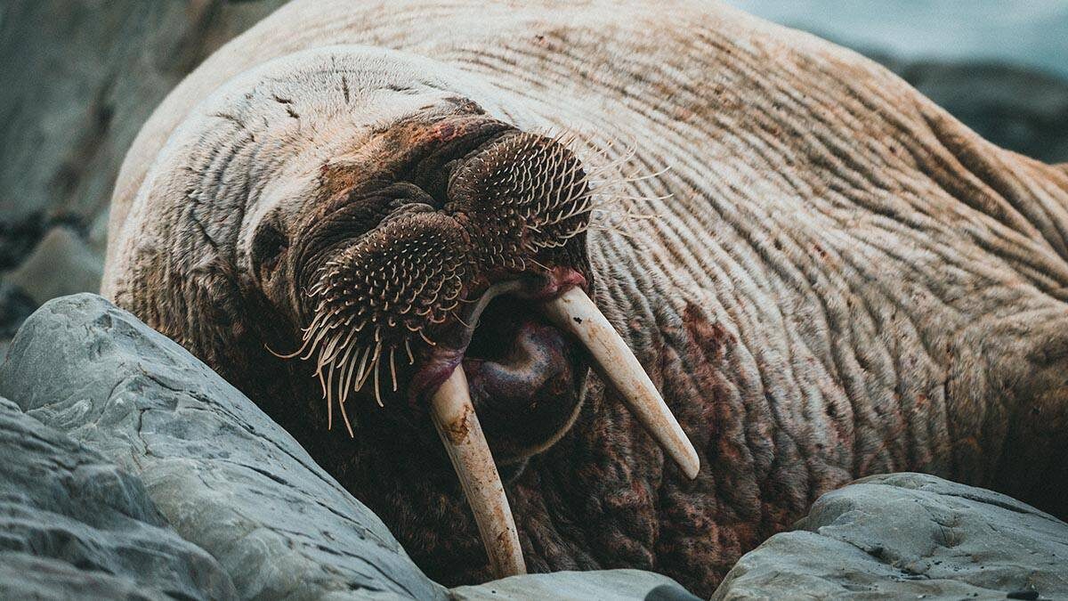    Фото: Unsplash