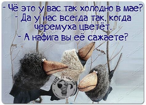 Фото из интернета