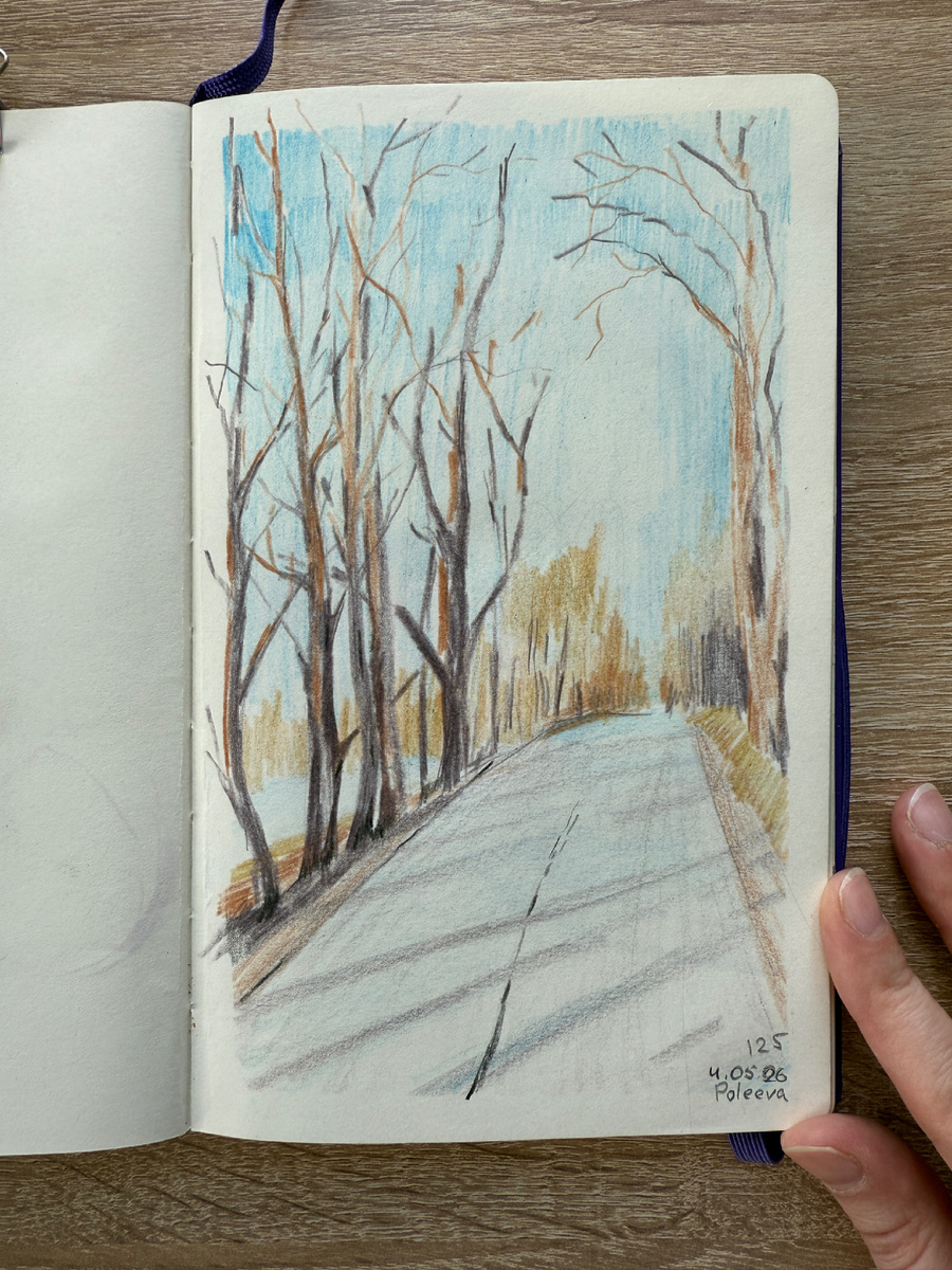 125/365 аллея перед Сельцо