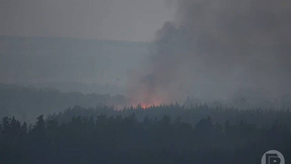 Чрезвычайная пожароопасность ожидается в Палласовском районе