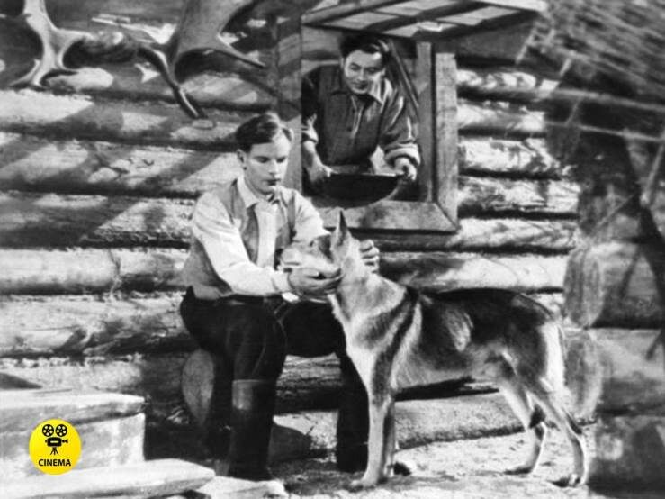 "Белый Клык" (1946).