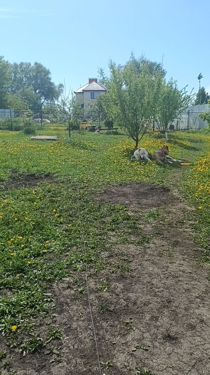 -2