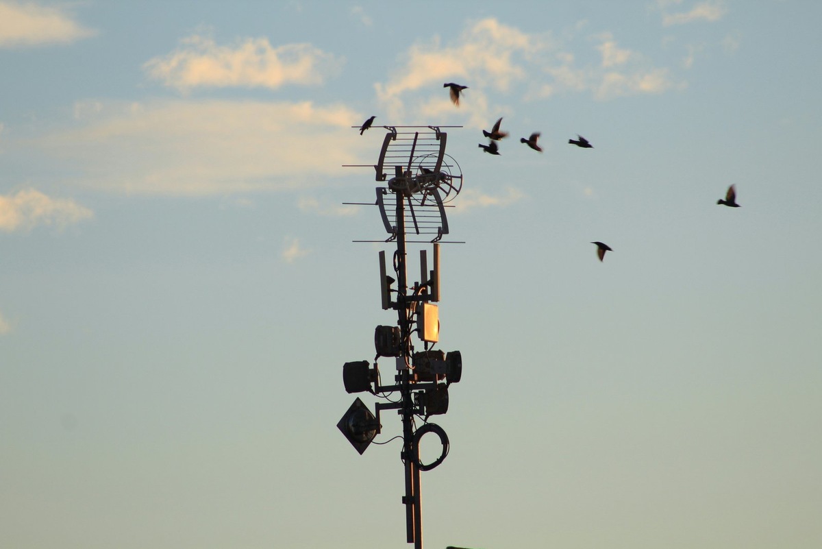    Крупные компании готовы к внедрению 5G