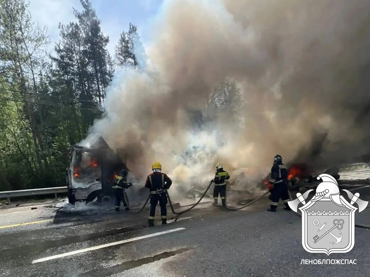     Тягач с прицепом горел открытым огнем по всей площади. Фото: пресс-служба ГКУ «Леноблпожспас».