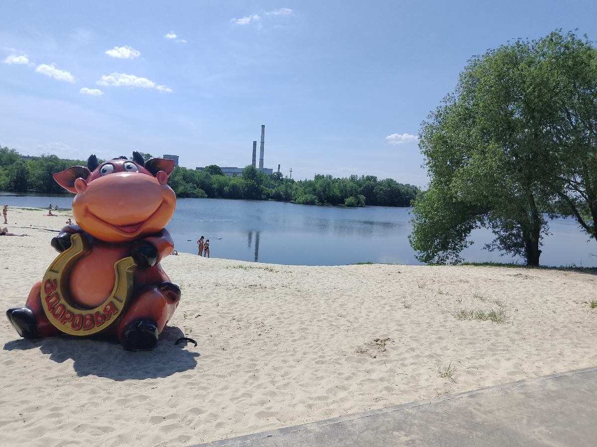 Фото автора, наш пляж около дома на реке Свияга