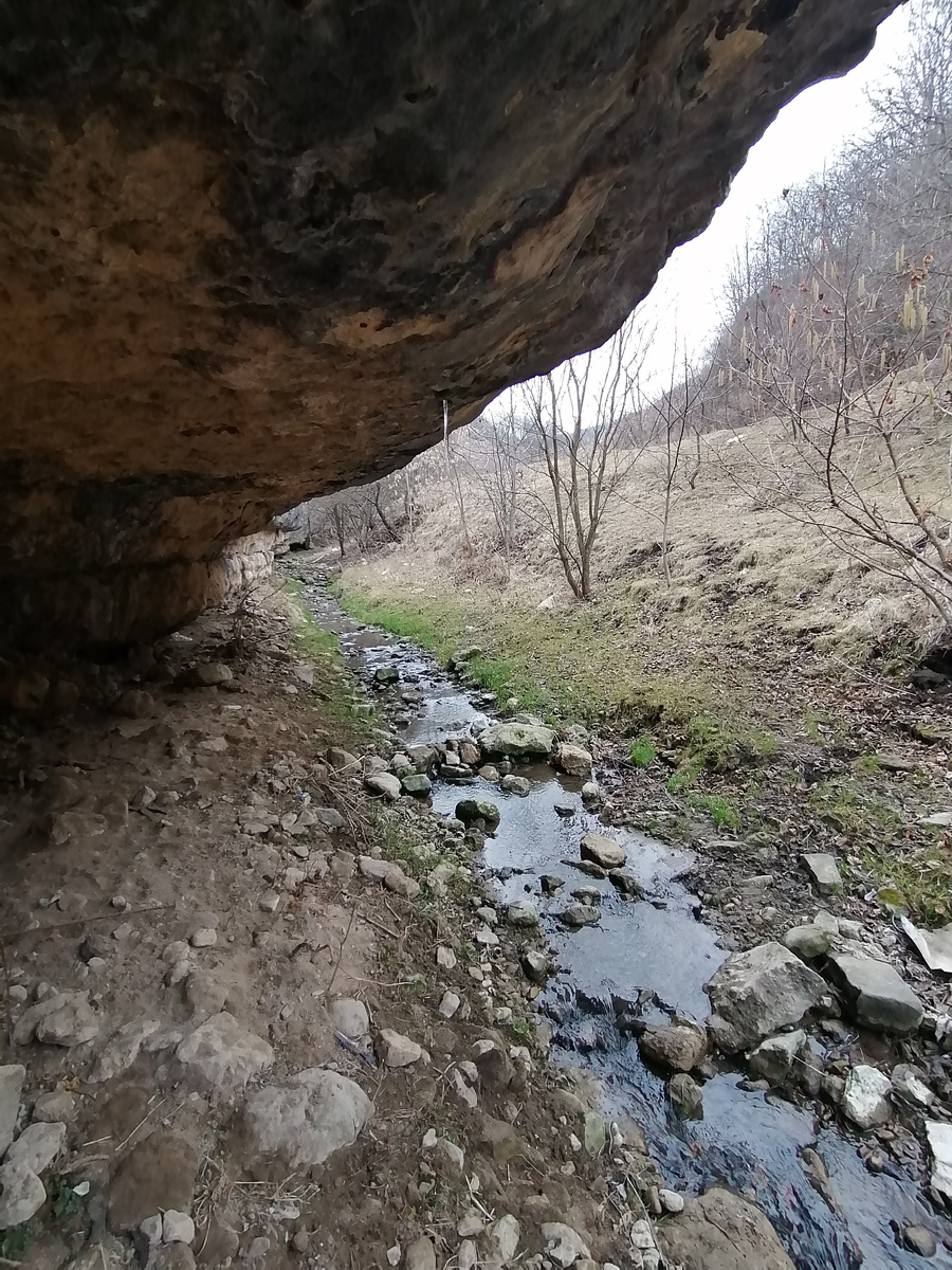 В галерее 10 фото, наслаждайтесь)