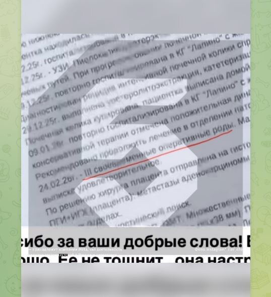 Скриншот Пятый канал Телеграм