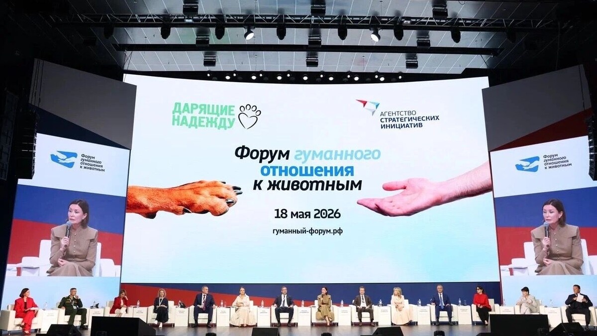 Фото с сайта Яндекса картинки