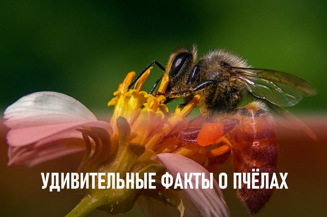 Фото: https://www.magnific.com/