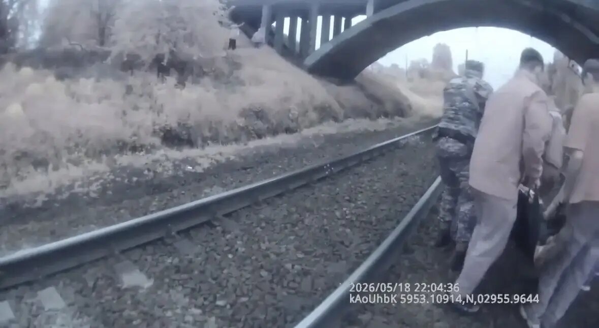    Фото: скриншот видео ГУ Росгвардии по Петербургу и Ленобласти