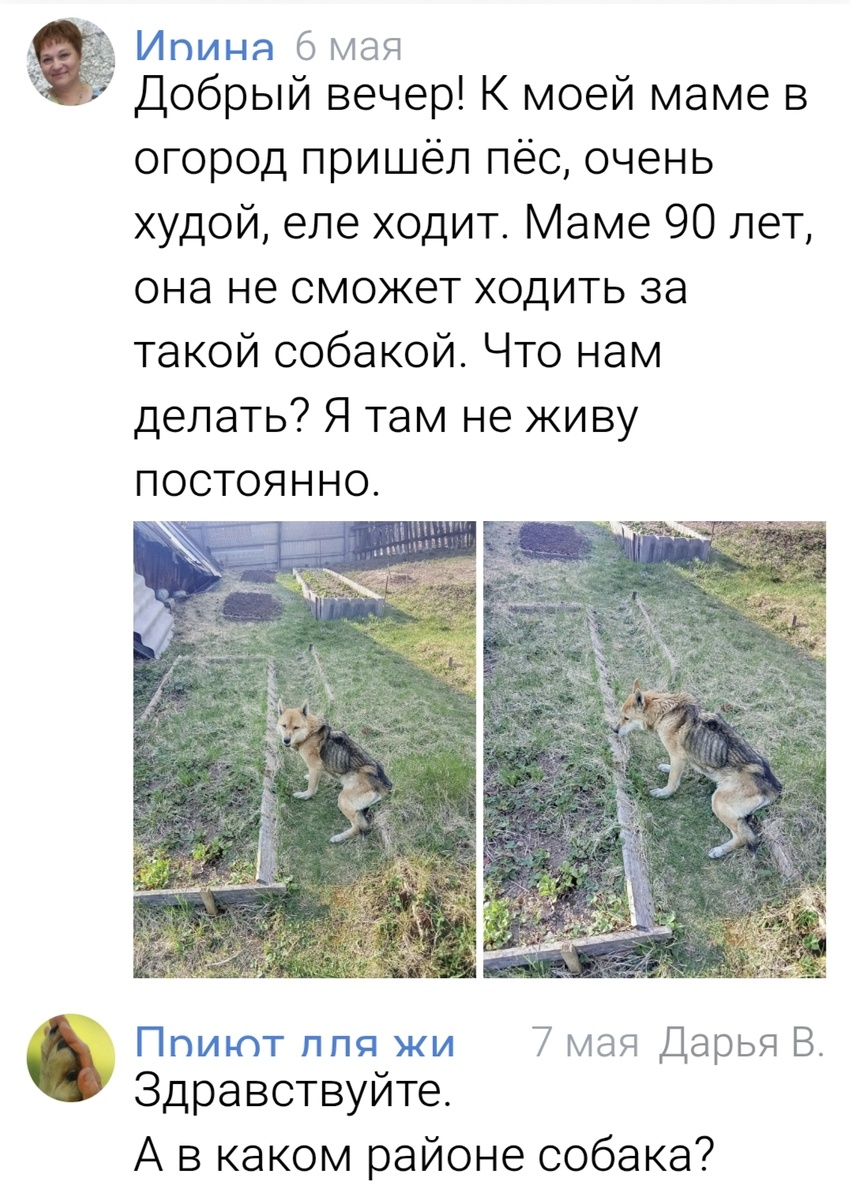 Сообщение в группе 