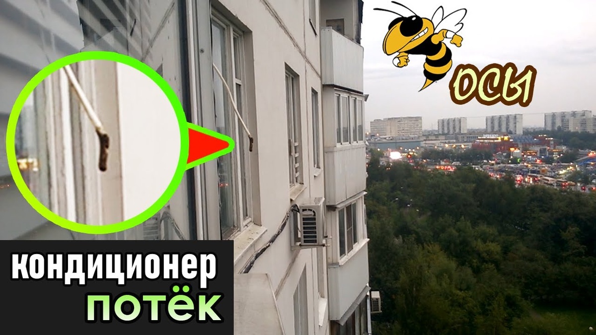 К чему приводит отсутствие сифона в дренажной системе кондиционера: насекомые