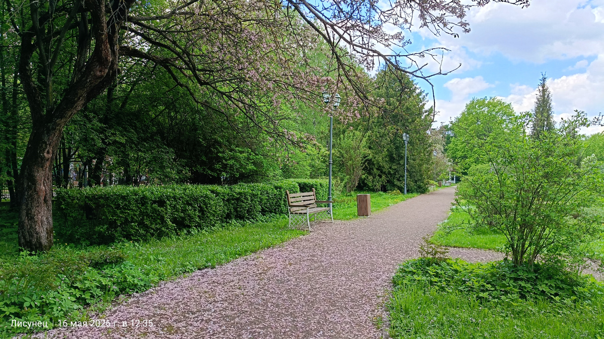 Фото автора.