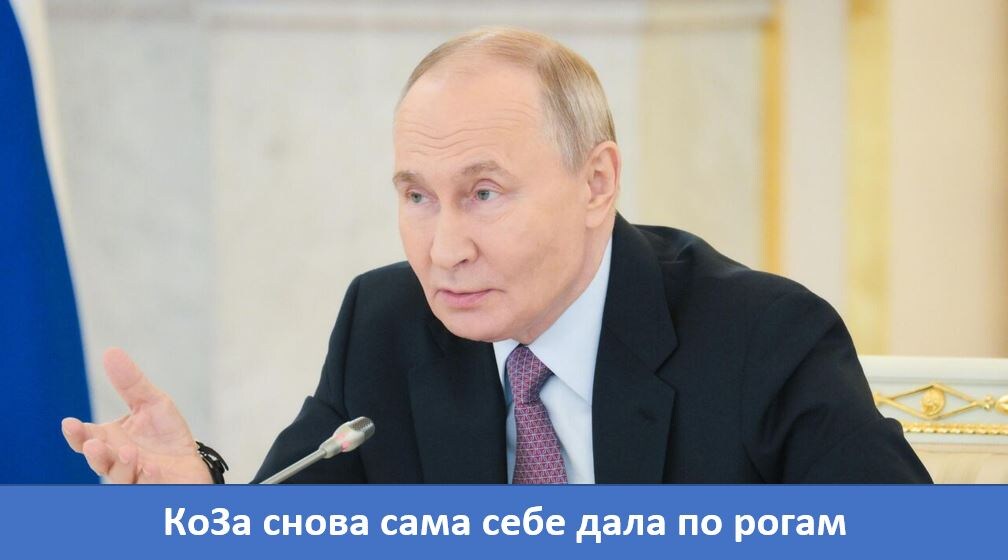 https://avatars.dzeninfra.ru/get-zen_doc/271828/pub_6a0ca753821fed45e3112cd3_6a0ca7fbd24ef86fbe5ec065/scale_1200