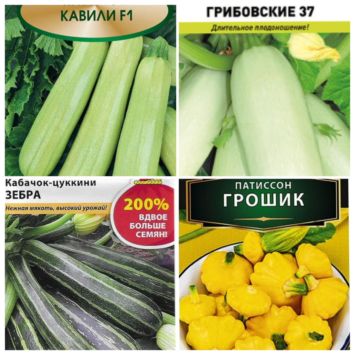 Сорта кабачков и патиссонов