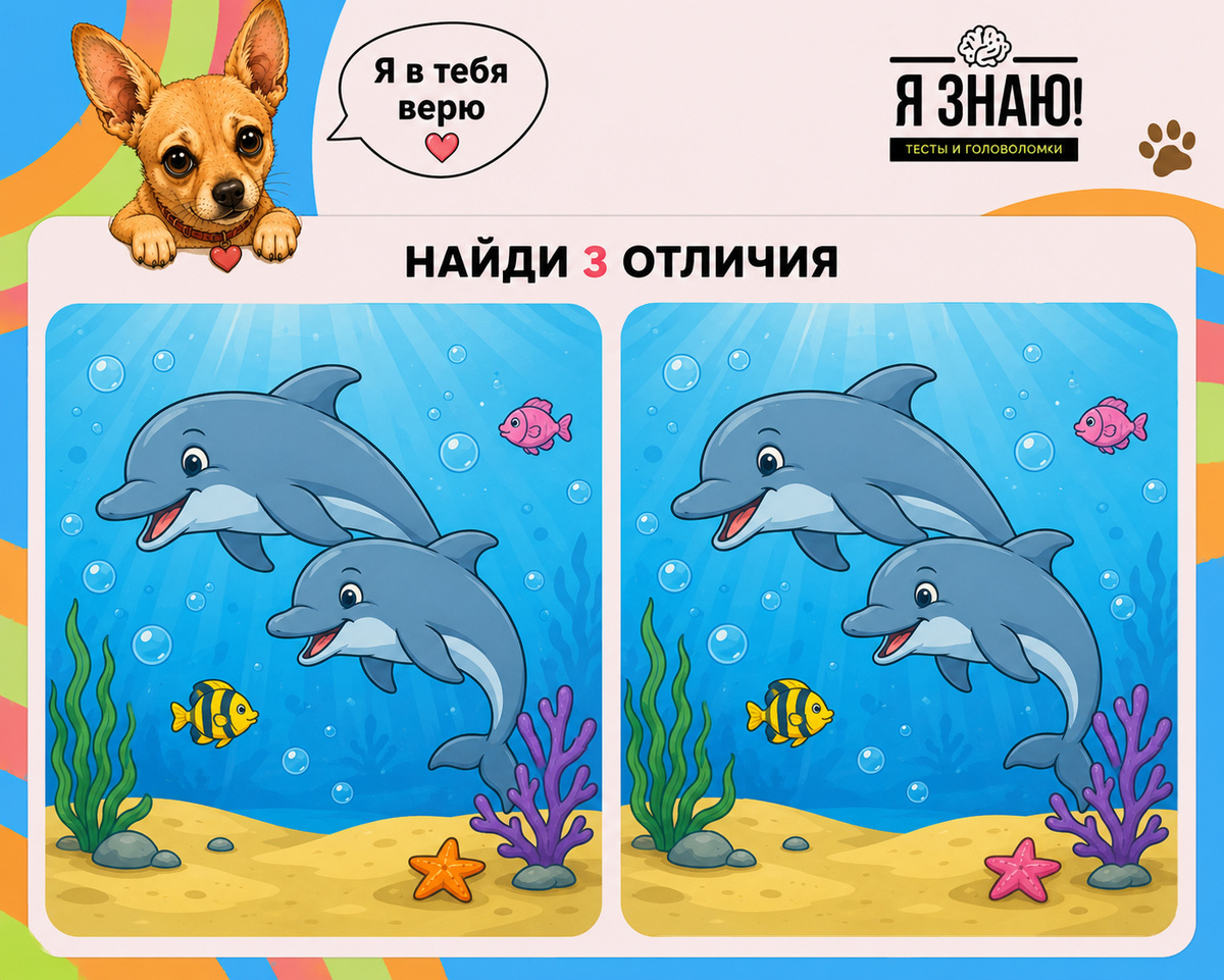 Найди 3 отличия за 30 секунд