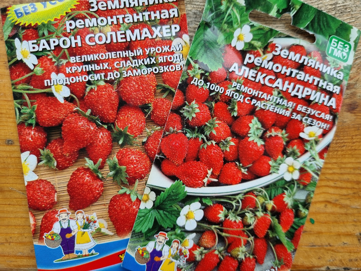 Семена земляники