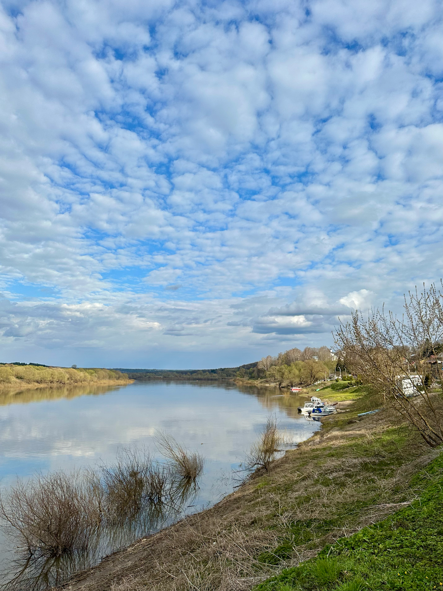 Ока в моей любимой Тарусе. 
