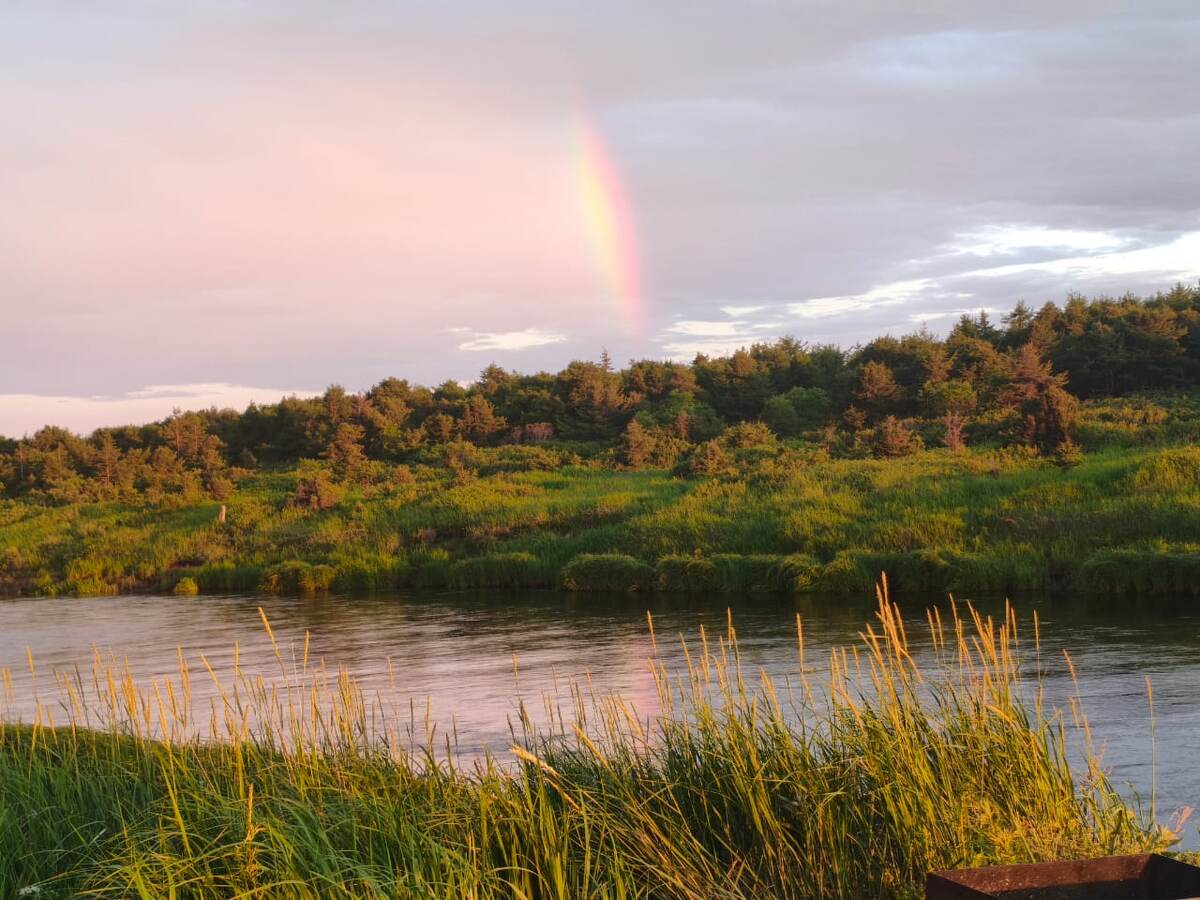 На фото речка Коль Николаевский район, Хабаровский край