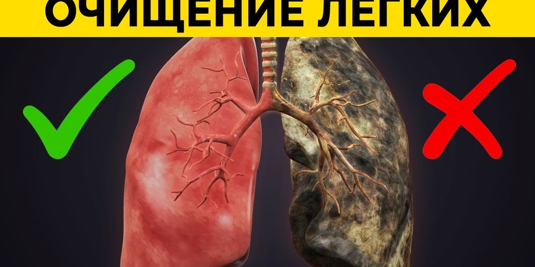 Восстановятся ли легкие, если бросить курить? Отвечает нарколог