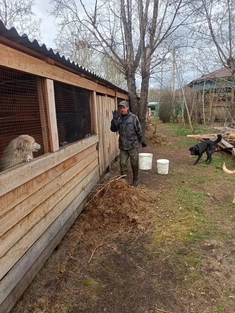 Максим кормит питомцев.
