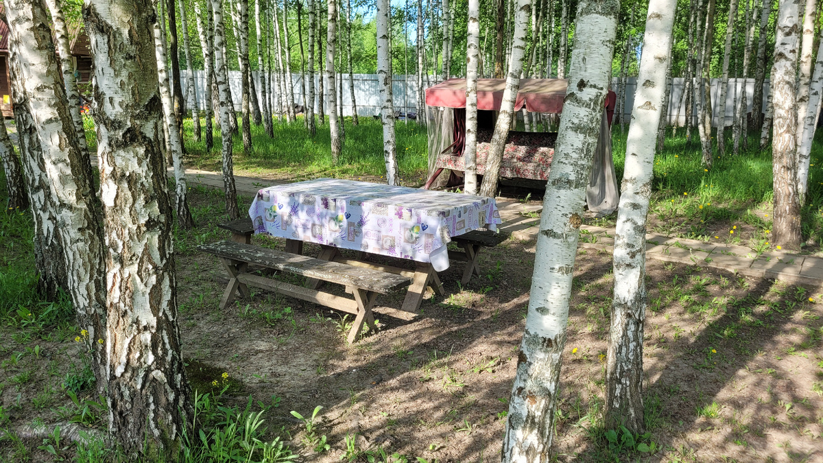 Дачное утро.