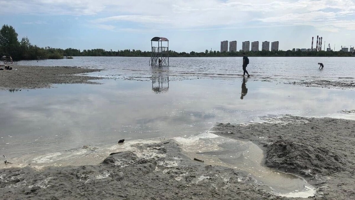    Ситуация на городском пляже Тюмени на 20 мая   Автор не указан / https://t.me/mmt72rus/9723