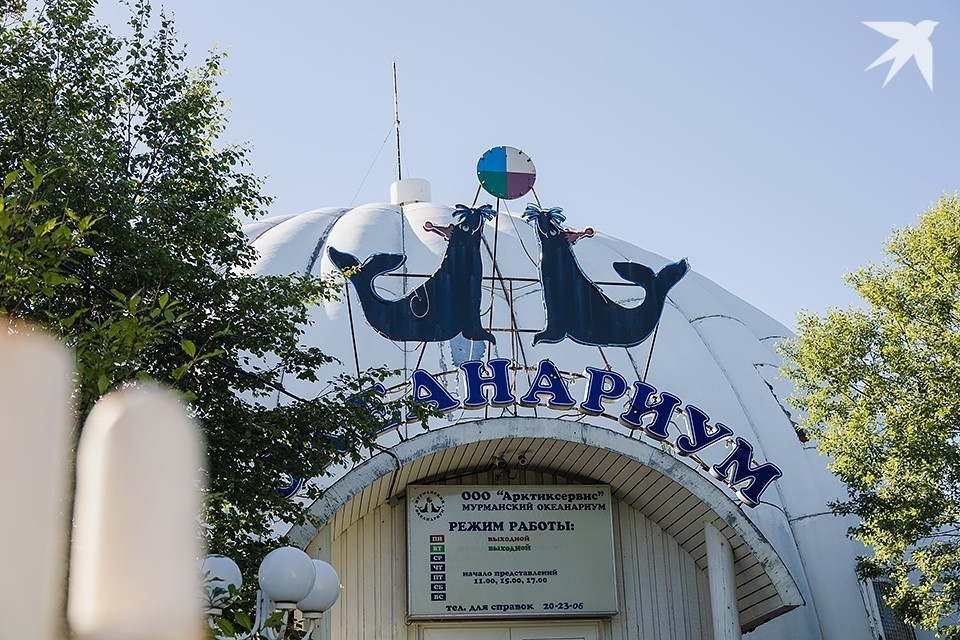    Океанариум в Мурманске закрыт с 1 января 2022 года из-за отсутствия лицензии, которую не смог продлить из-за изменившегося законодательства. Антон ЗАБИРОВ