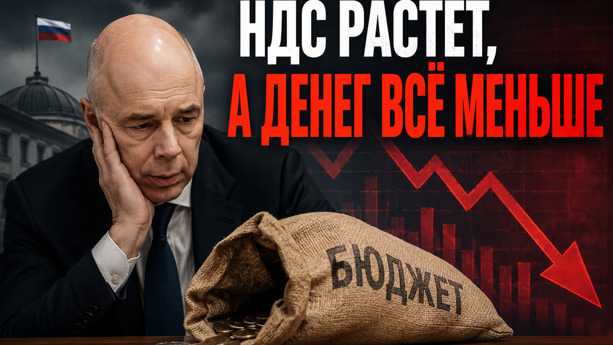 НДС растет, денег всё меньше: удивительная стабильность экономики 