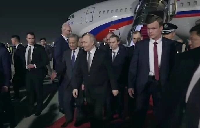 Фото с сайта Яндекса картинки