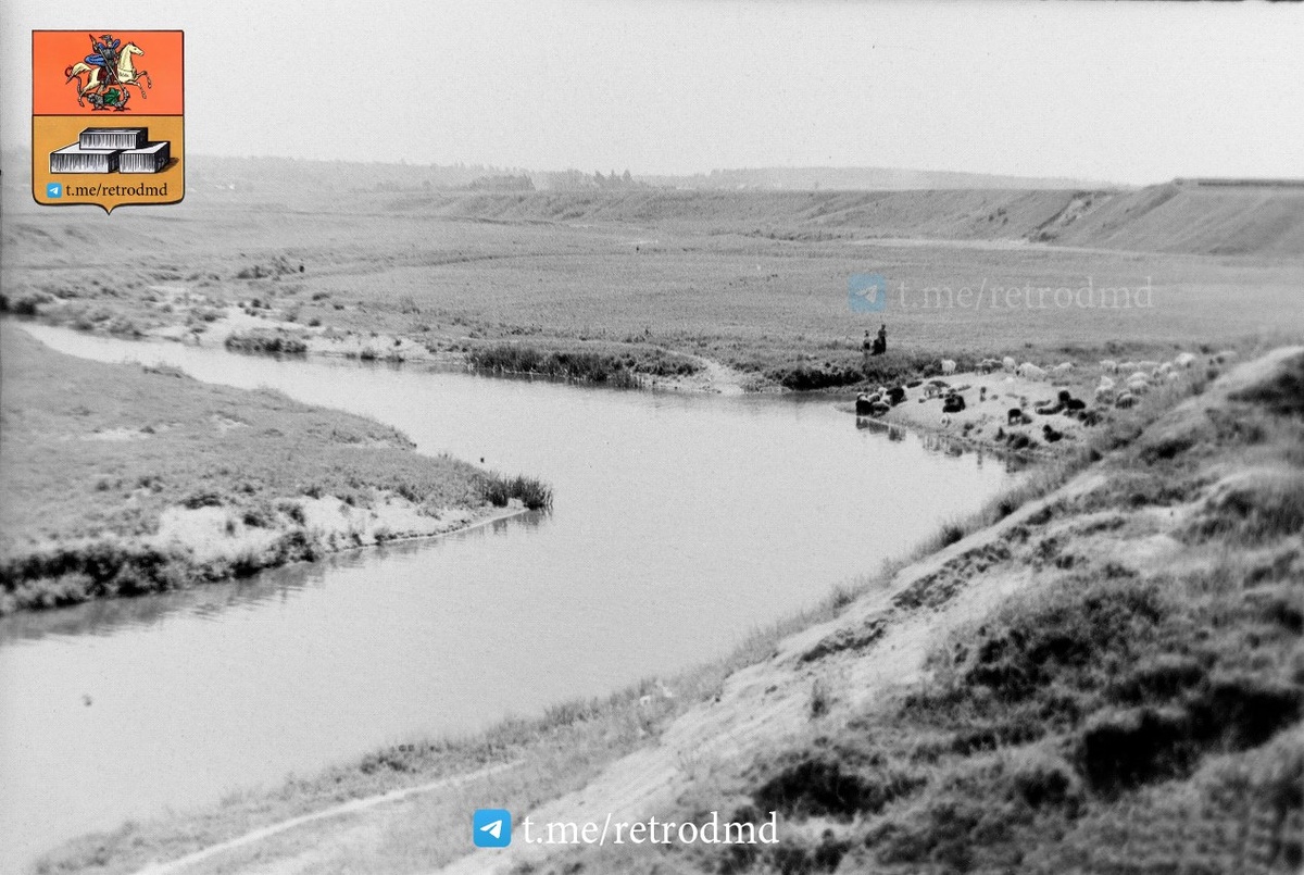 Река Рожайка, вид со стороны д. Авдотьино, 1956 год, автор фото Василий Балашов