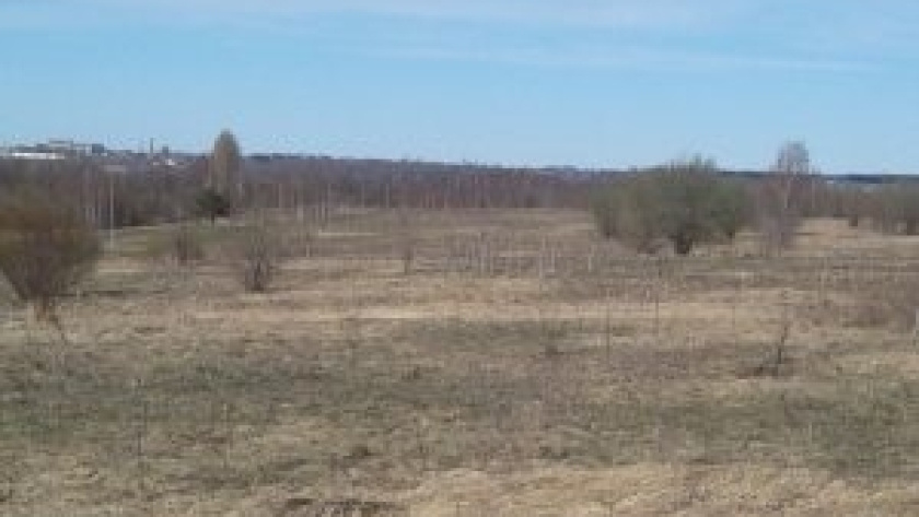    Россельхознадзор по Тверской и Ярославской областям