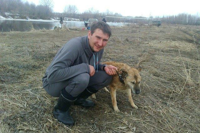 «Настоящий мужик»: жители Новокуйбышевска так прозвали Сергея Карпова после того, как он спас тонущую собаку