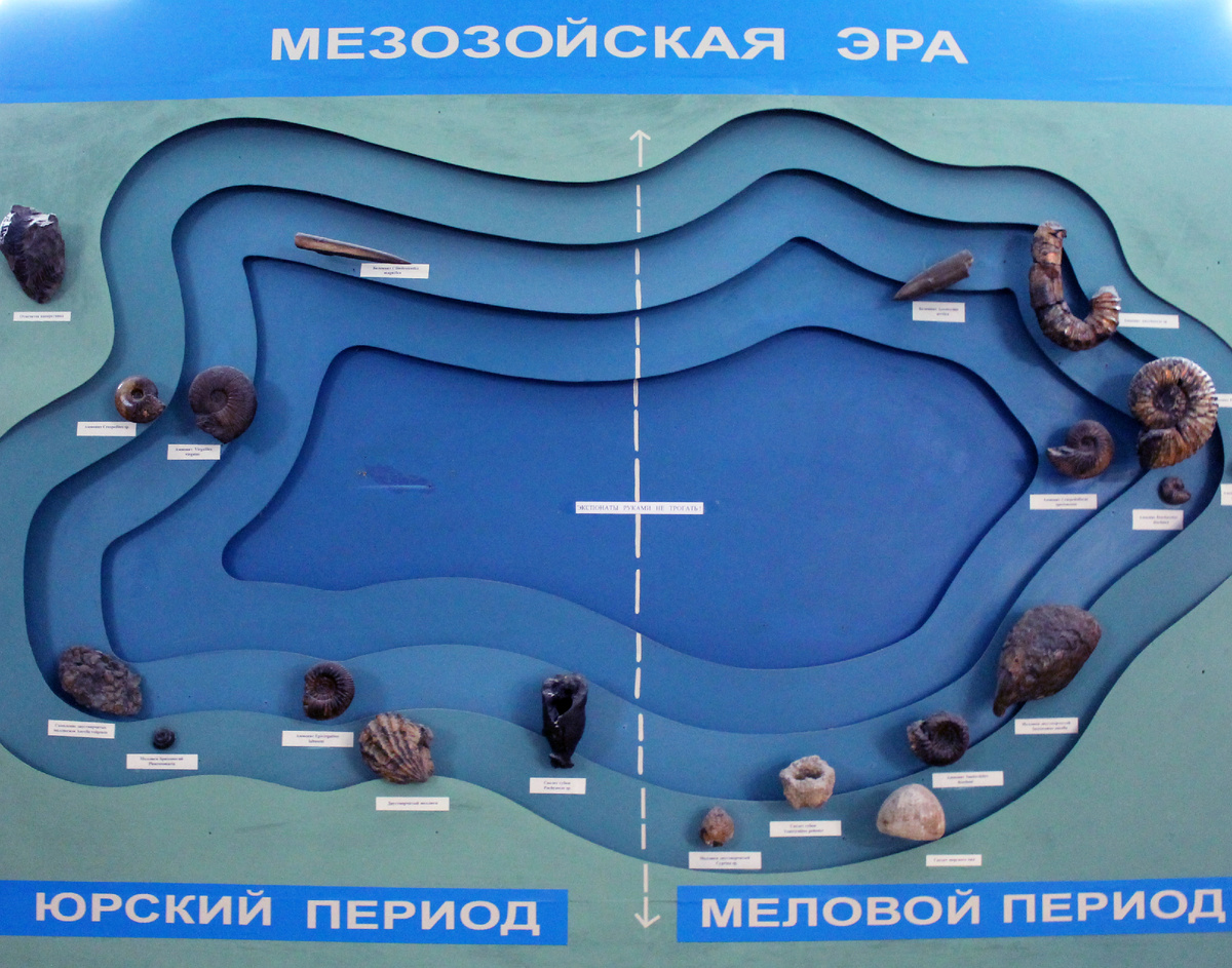 Макет древнего моря, фото автора
