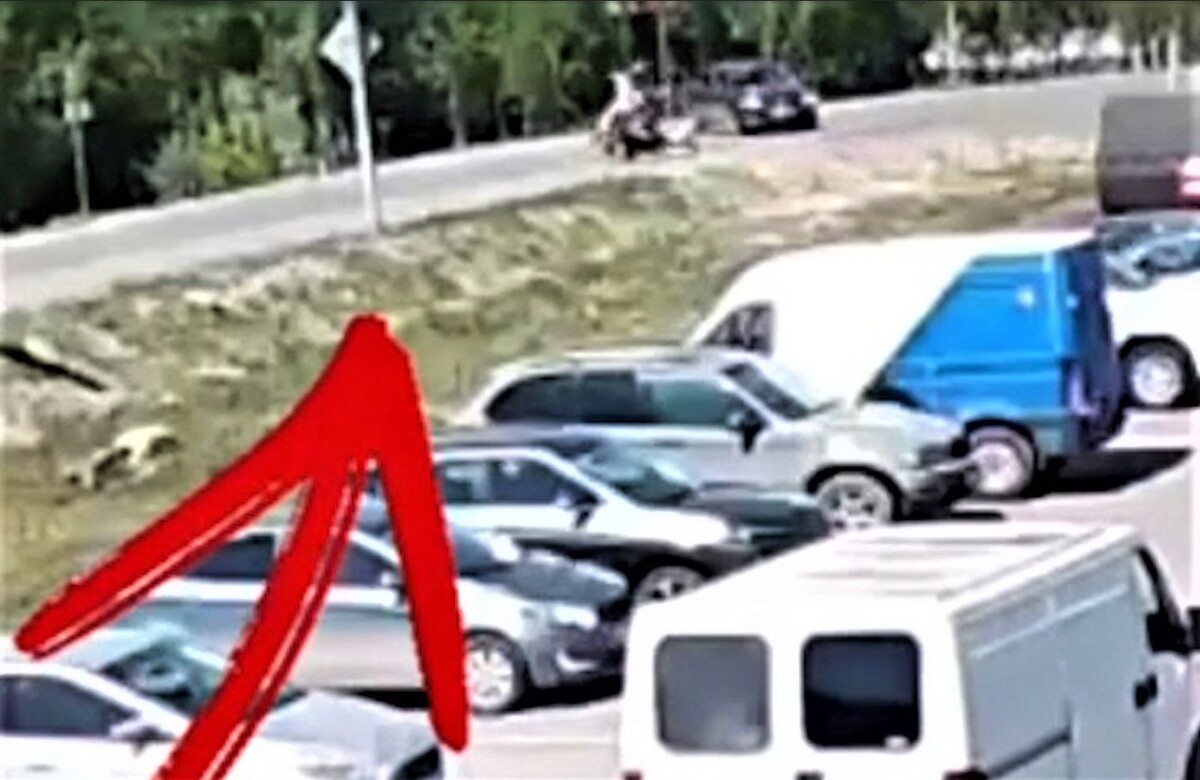     / Источник: Кадр из видео