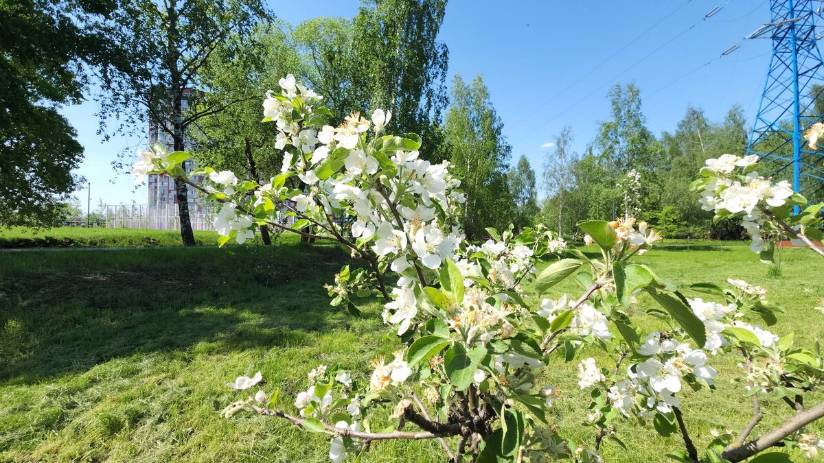     МедиаБанк Подмосковья / Юлия Смагринская