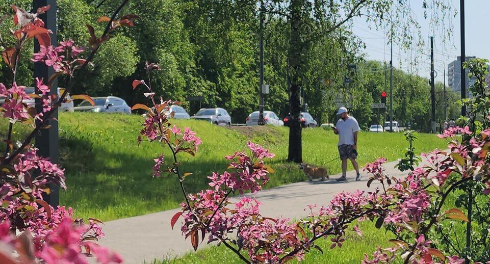    МедиаБанк Подмосковья/Юлия Смагринская