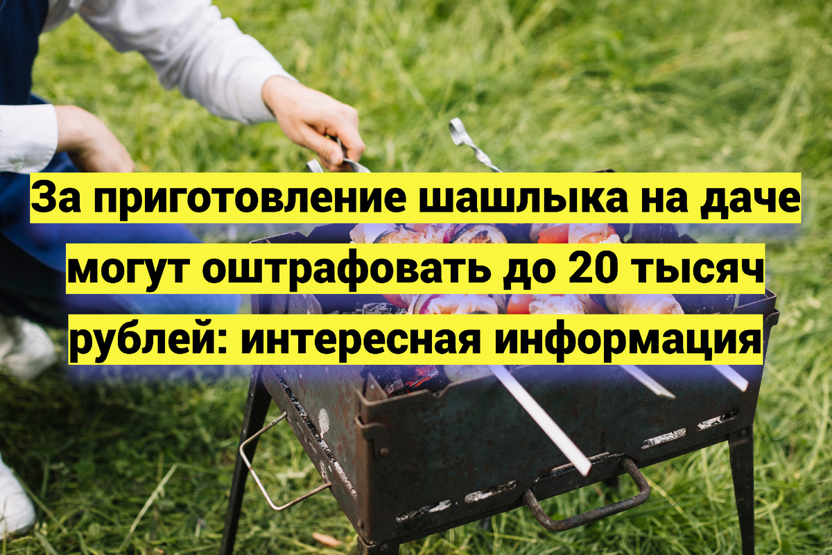 Источник фото:  magnific.com