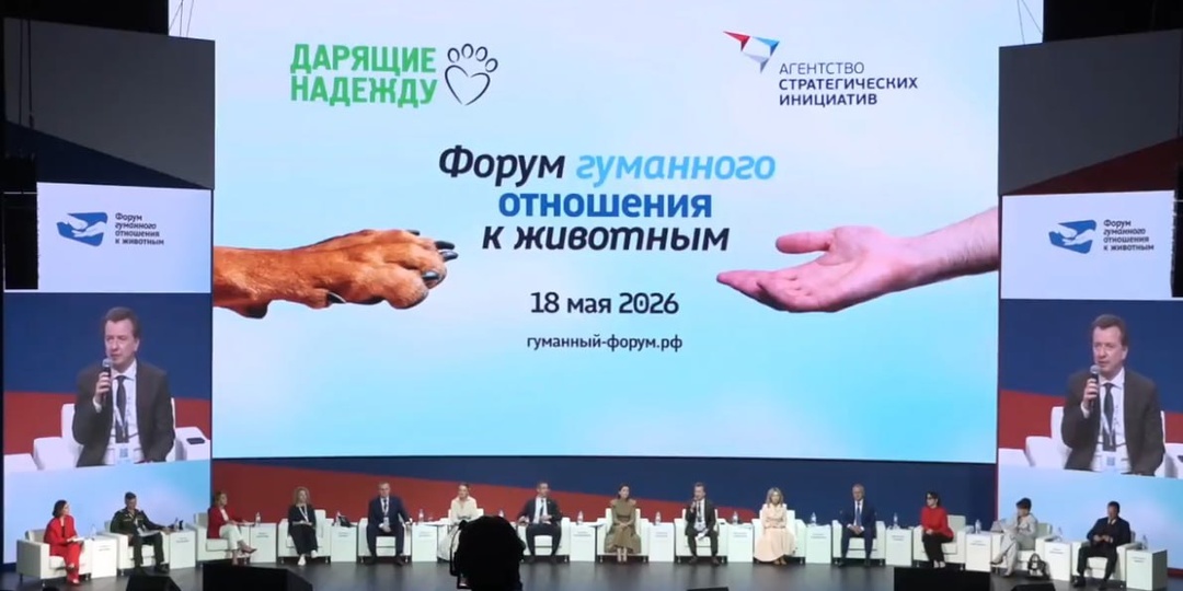 18 мая в Москве состоялся Форум гуманного отношения к животным-2026, где эксперты, представители НКО, ветеринарного сообщества и органов