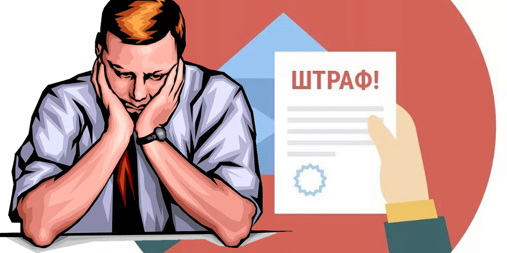 Как отгородиться от соседа, не нарушив закон: 3 рабочих варианта