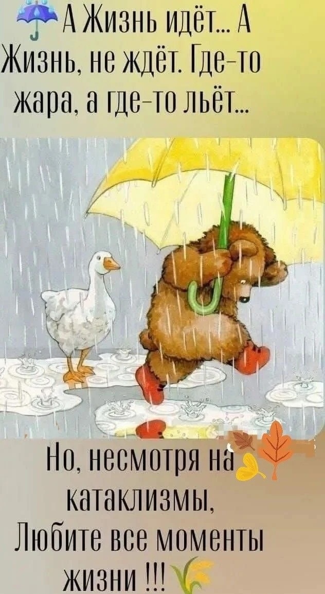 Моим друзьям!