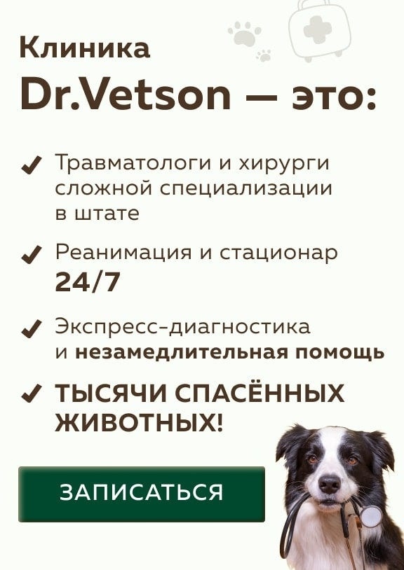 Создать карусель