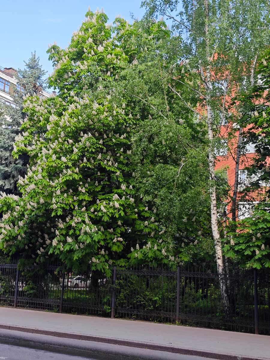 Фото автора канала 