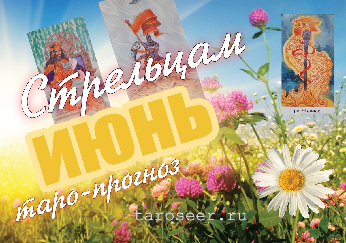 коллаж ЕлВита