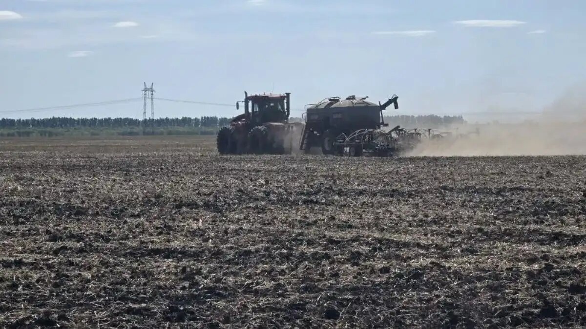 Фото:Омский АНЦ (СибНИИСХоз)
Посев рапса в новоуральском опорном пункте семеноводства Омского АНЦ