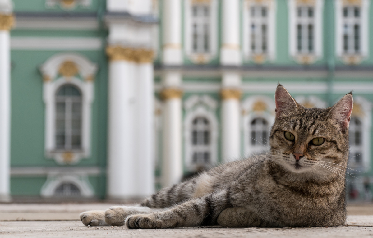 Petr Ya/Shutterstock/FOTODOM