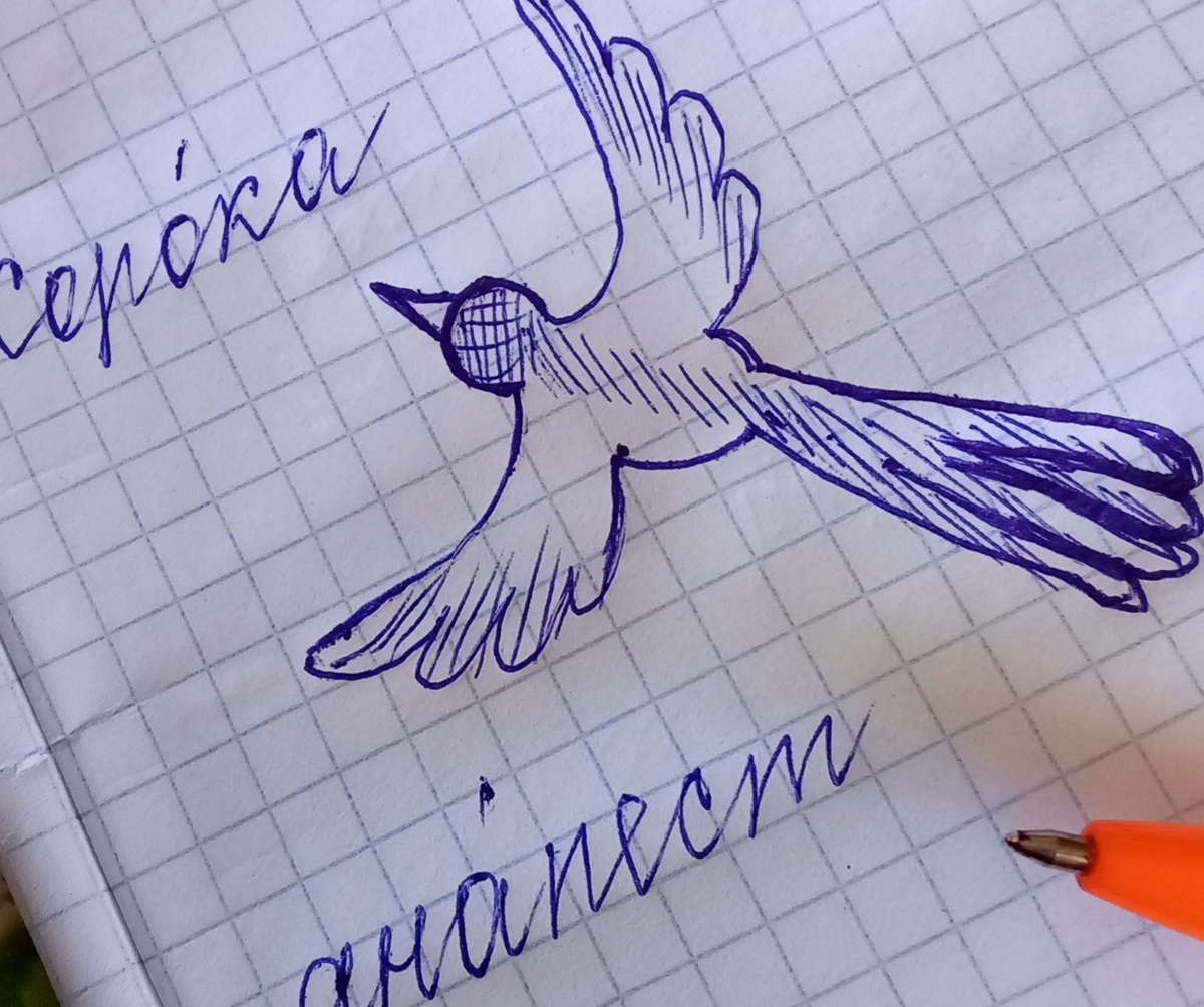 Рисунок автора