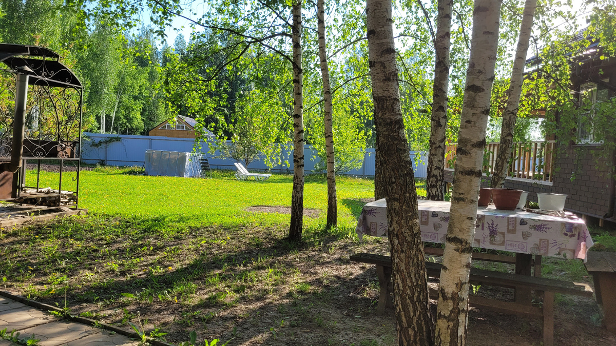Дачное утро. Фото с качелей.