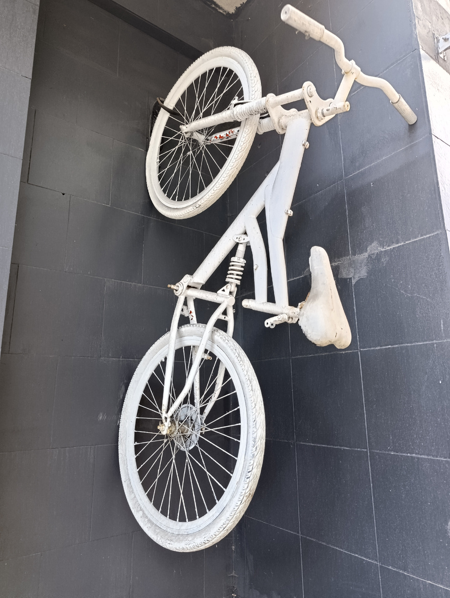 Инсталляция в виде двухподвесного BMX возле велосипедного магазина - велосервиса. Интересно, что BMX изначально создавались как детский тренажёр в мотокроссе, но со временем тренировки на таких велосипедах стали отдельной субкультурой и отдельным видом спорта.