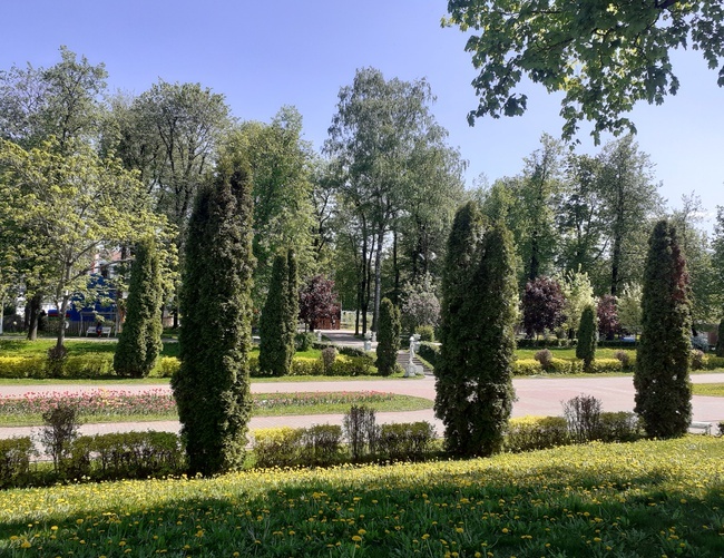 Фотография автора